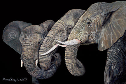 Elephant Family
